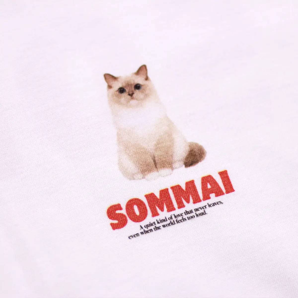รับสกรีนเสื้อ สระบุรี ตัวอย่างงานสกรีนเสื้อ DTG